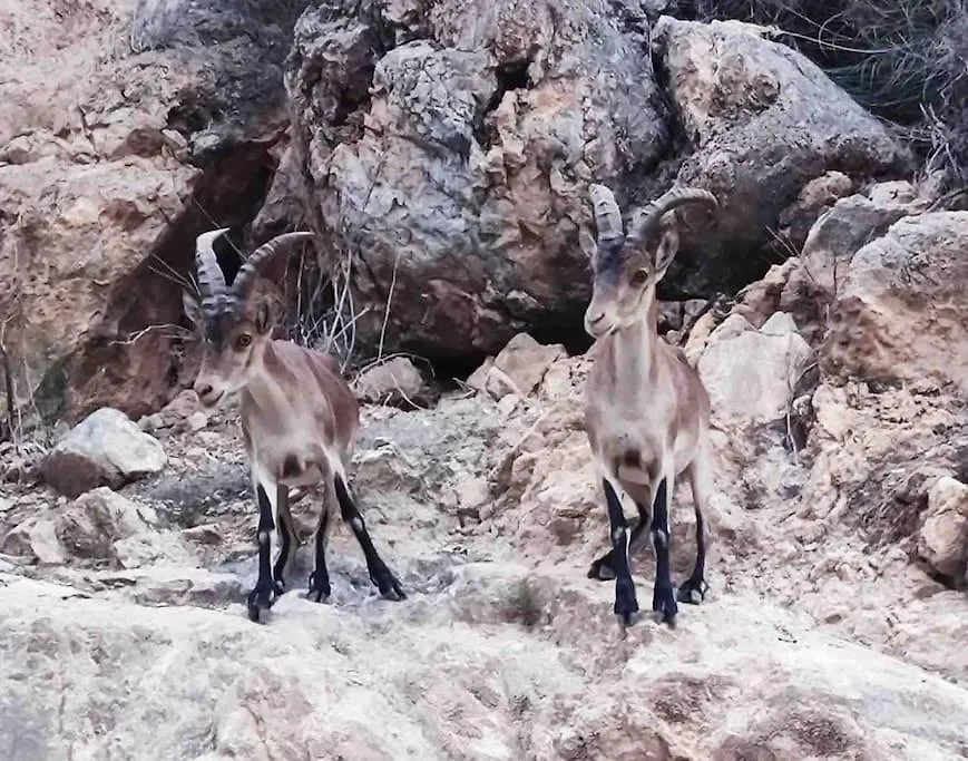 Las Plomas 2 Almunecar 0*,